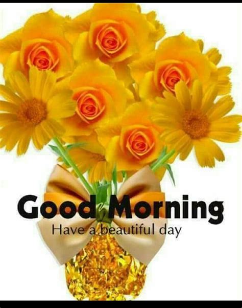 Pin By Govinda Rajulu Chitturi On శుభోదయం Good Morning Images Flowers