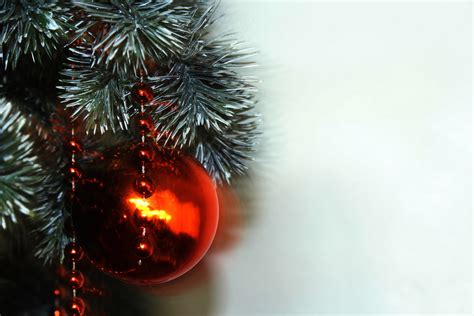 Christmas Background 8 Free Stock Photo Public Domain Pictures