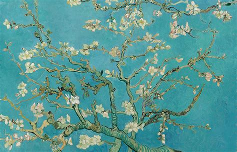 Museu Van Gogh Libera Centenas De Pinturas Esboços E Cartas Do Artista