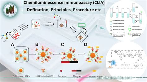 Chemiluminescence Immunoassay CLIA Defination Principle Procedure