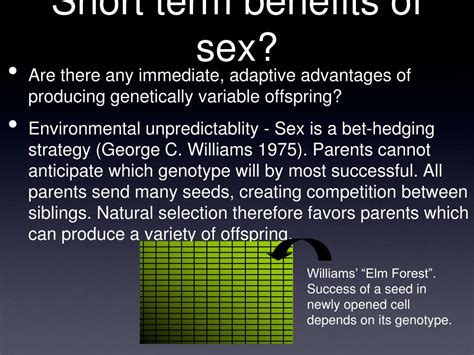 Ppt What Is Sex Powerpoint Presentation Free Download Id5656007