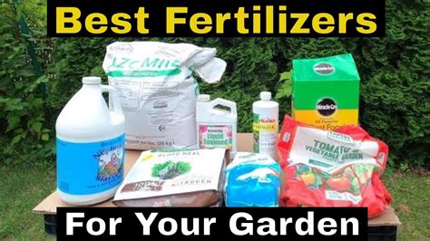 Best Fertilizers For Vegetables My Top Fertilizers For Vegetables