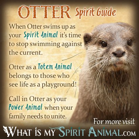 Otter Symbolism And Meaning Spirit Totem And Power Animal