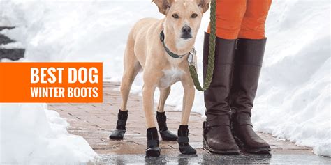 10 Best Dog Winter Boots Paw Protectors And Snow Boots