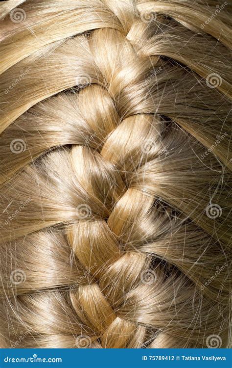 Beautiful Blonde Shiny Hair Was Braided Stock Photo Image Of Beauty