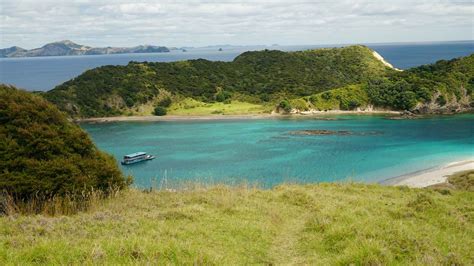 The Rock Team Top 5 Bay Of Islands Must Dos