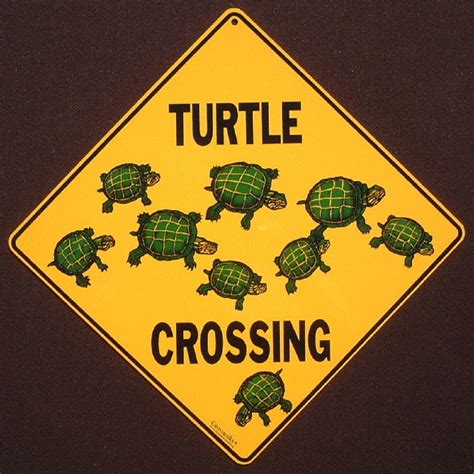 TURTLE CROSSING Sign 16 1 2 By 16 1 2 New Decor Novelty Etsy