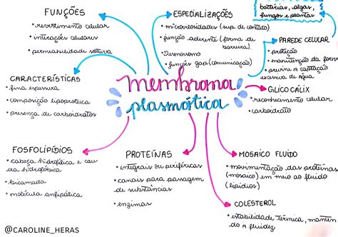 Mapa Mental Sobre Membrana PlasmÁtica Maps4study