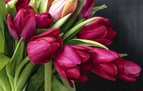 21 Gambar Buket Bunga Tulip Galeri Bunga Hd
