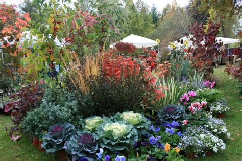 La sua altezza contenuta va benissimo per i balconi, e non ostacola la. Le piante da giardino sempreverdi.