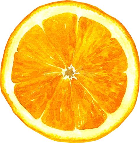 Tranche De Dessin Orange Par Laquarelle Illustration De Vecteur