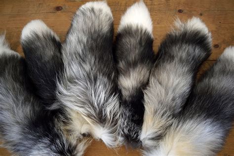 Real Fox Tails Platinum Cross Fox Fur Tails Red And Silver Etsy
