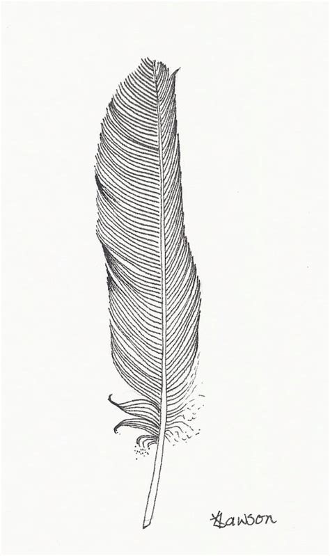 Small Black Feather Original Ink Drawing