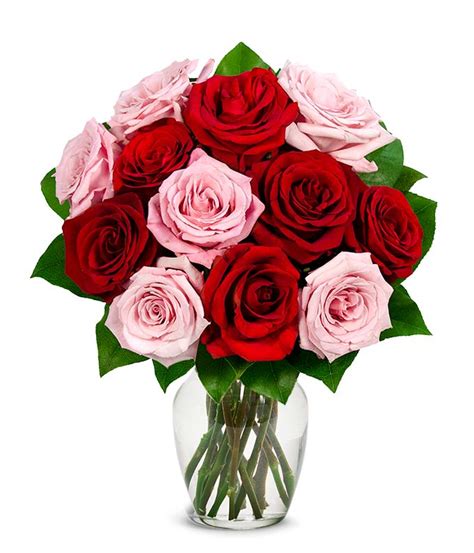 One Dozen Red And Pink Valentines Day Roses At From You Flowers