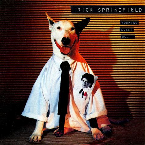 Rick Springfieldworking Class Dog ジェシーズ・ガール 国内盤 Australianその他 Ken