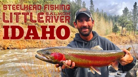 Steelhead Fishing Idaho The Little Salmon River Youtube