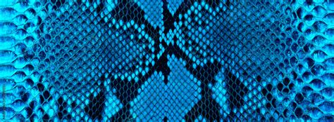 Texture Of Blue Snake Skin Leather Surface With Python Skin Texture