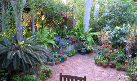 Garden And Lawn Best Courtyard Garden Designs Tropical Courtyard