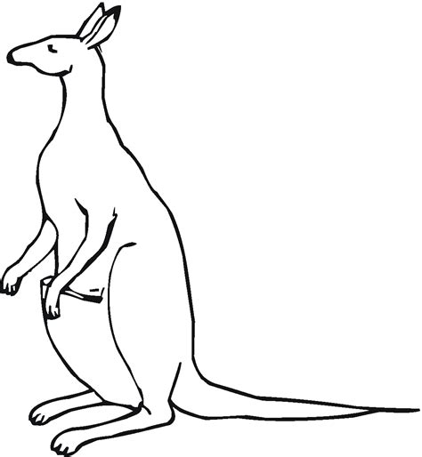 Free Kangaroo Images For Kids Download Free Kangaroo Images For Kids