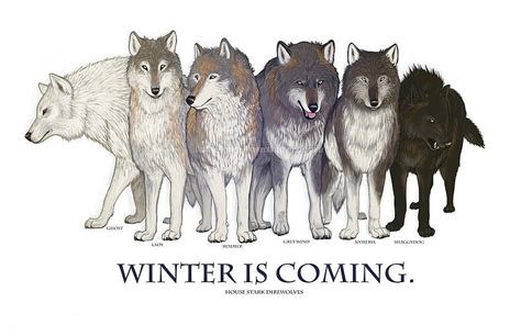 Game Of Thrones Winter Is Coming Direwolf Ghost House Hd Wallpaper