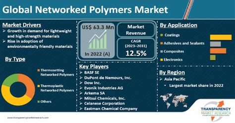 Networked Polymers Market Size Share Growth Report