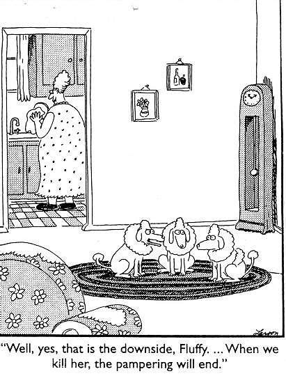 17 Best Images About Comics The Far Side On Pinterest Gary Larson