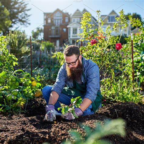 Urban Gardening Containing People Gardening And Urban High Quality