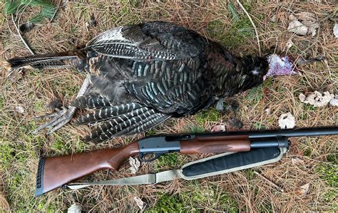 Forget The Ice Fishing Its Time To Talk Turkey Hunting