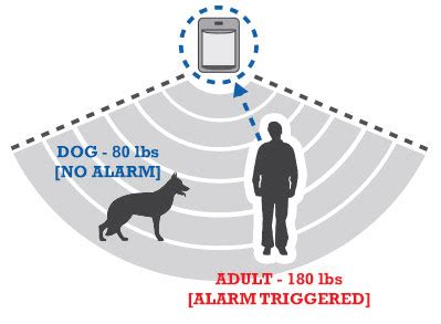 To give you an idea of how adt's home security system works, we have broken down their services, monitoring, packages, and so, you may be wondering just how adt actually works in practice. ADT Motion Sensors: What You Need to Know | ADT Security