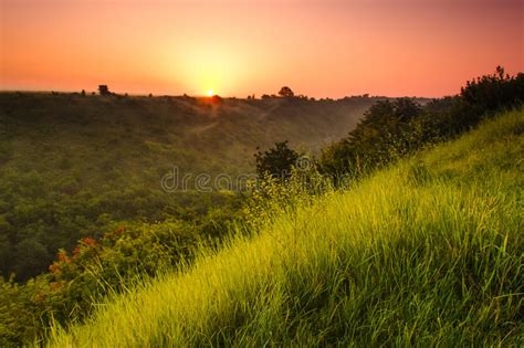 Landscape Sunrise At Summer Foggy Morning On Meadow Stock Image