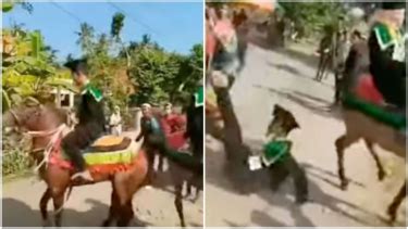 Foto Viral Video Kuda Bikin Onar Saat Pawai Netizen Kuda Binal