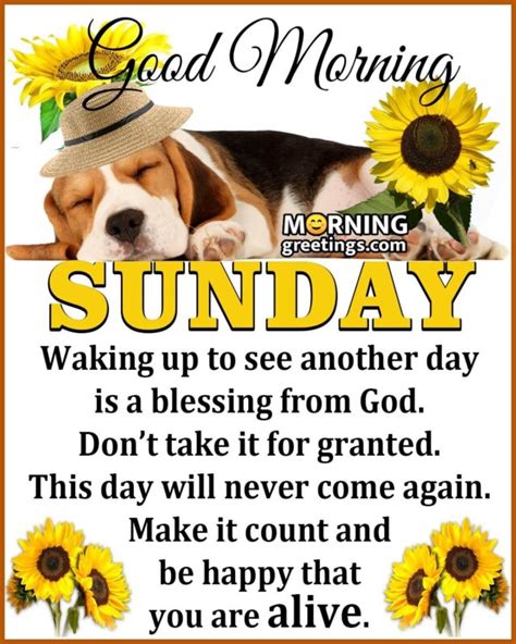 Good Morning Sunday Images With Quotes Morning Greetings