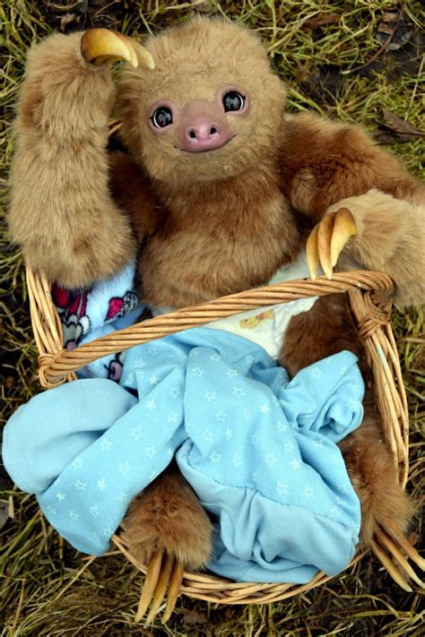 Baby Sloth In Pajamas Etsy