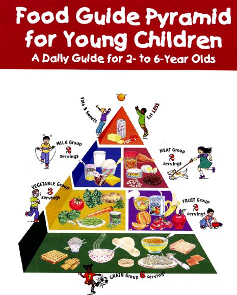 Baby Food Pyramid Food Pyramid