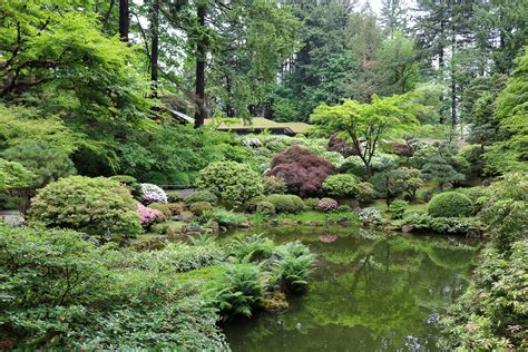 As Spring Turns To Summer Portland Japanese Garden