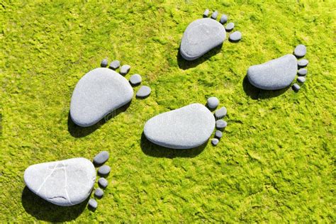 Stone Footprints Stock Image Image Of Green Coast Barefoot 34783235
