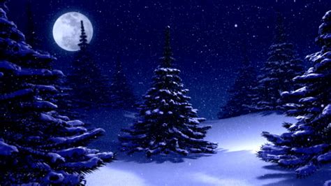 Winter Landscape Background With Pine Trees At Night Stock