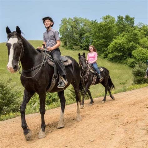 Five Oaks Riding Stables Dubbys Attractions