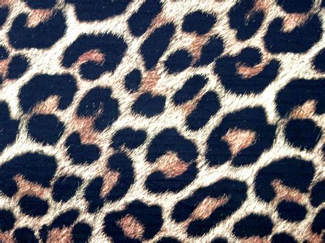 Leopard Skin Background Free Stock Photo Public Domain Pictures