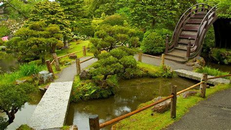 Japanese tea garden, san francisco history: Japanese Tea Garden in San Francisco, California | Expedia