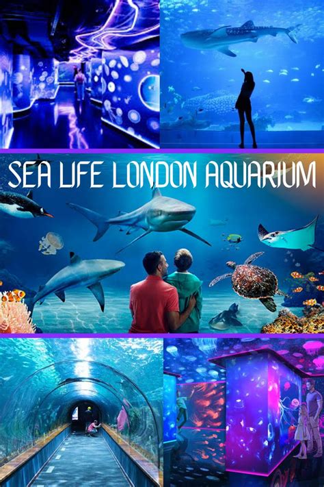 Sea Life London Aquarium Things To Do In London London Relaxing