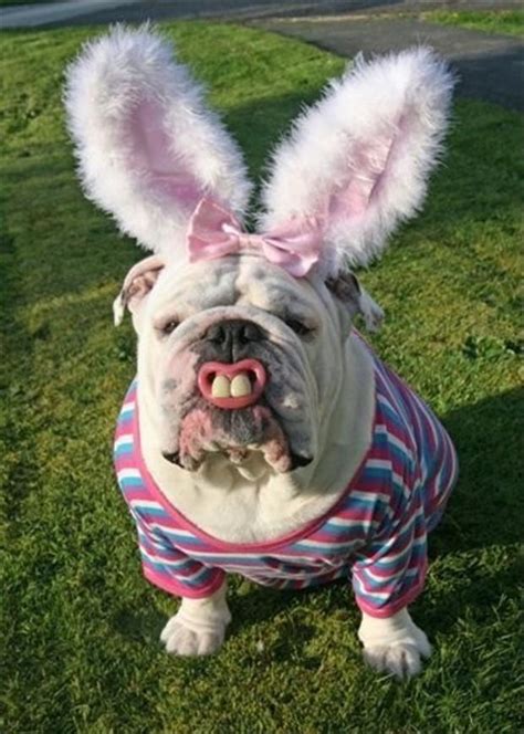 Top 10 Obviously Fake Easter Bunnies