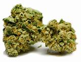 Images of Buy Marijuana Plants Online