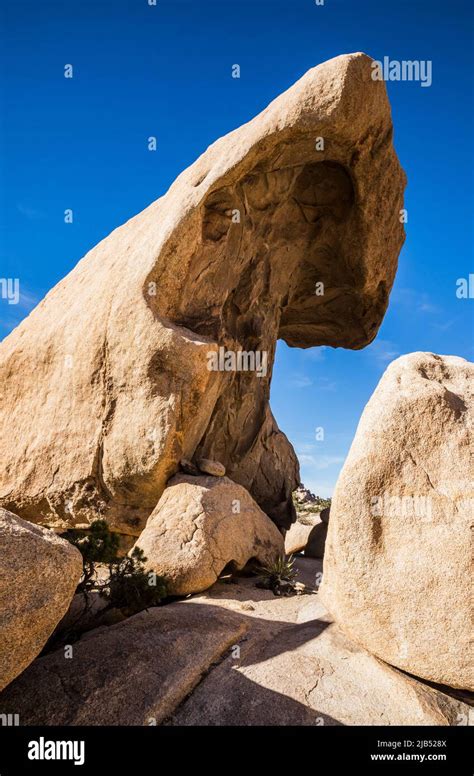 Rock Formations In The Wonderland Of Rocks Joshua Tree National Park
