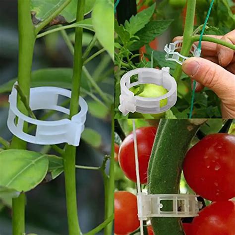 50100pcs Reusable 25mm Plastic Plant Support Clips Clamps For Plants