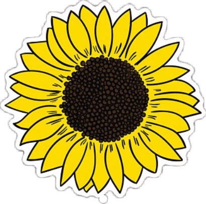 tumblr sunflower - Sticker by Fernanda Stephens H.