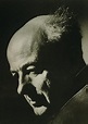 Henry Cowell 1897-1965, Experimental Photograph by Everett - Fine Art ...