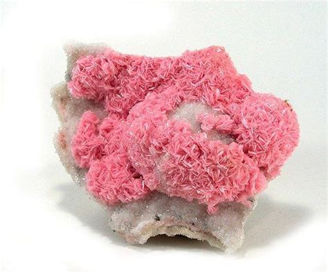 Rhodochrosite Rosettes On Drusy Quartz Minerals And Gemstones