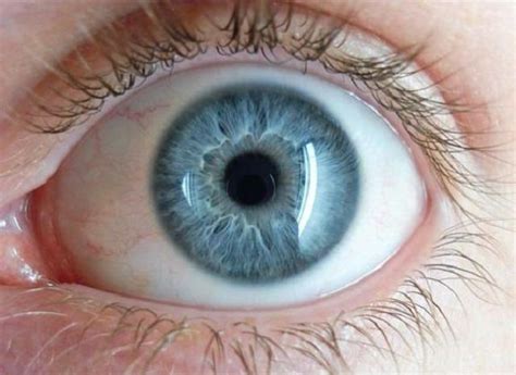 Ojos Azules ¿a Qué Se Deben Y Cuál Es Su Origen