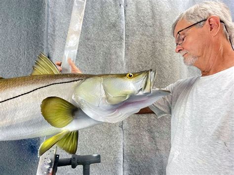 Snook Mounts Replica Fish Mounts From New Wave Taxidermy